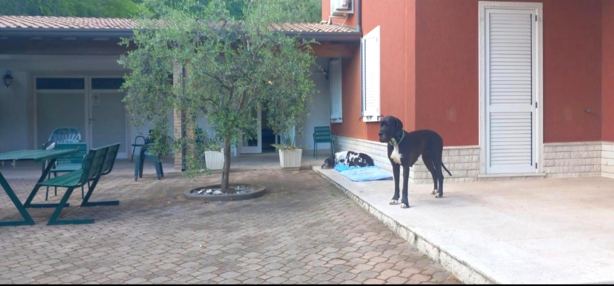 Pace, Luminosita E Comodita A Due Passi Dal Garda Volta Mantovana Exterior foto